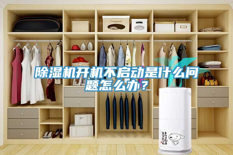 猫咪成人官网开机不启动是什么问题怎么办？