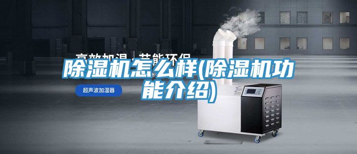 猫咪成人官网怎么样(猫咪成人官网功能介绍)