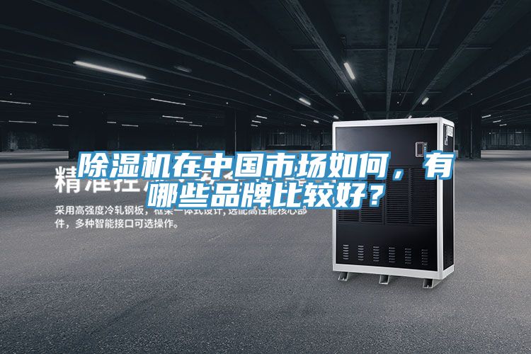 猫咪成人官网在中国市场如何，有哪些品牌比较好？