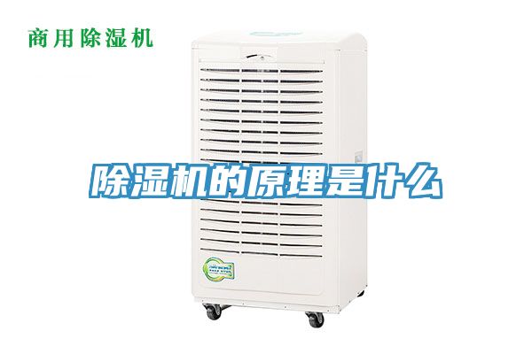 猫咪成人官网的原理是什么