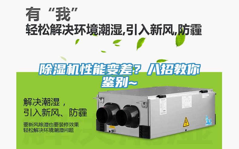 猫咪成人官网性能变差？八招教你鉴别~