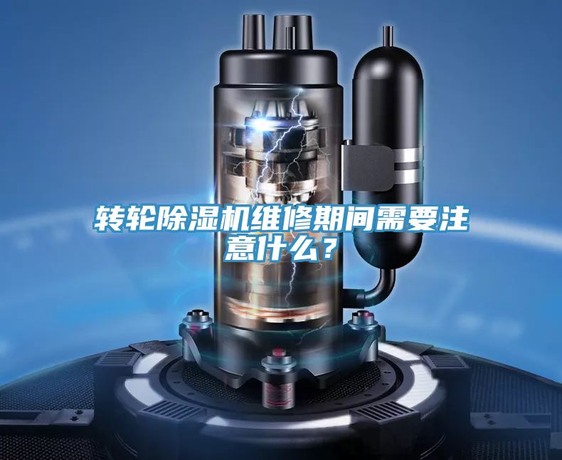 转轮猫咪成人官网维修期间需要注意什么？