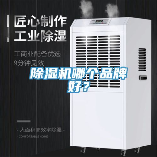 猫咪成人官网哪个品牌好？