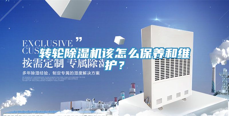 转轮猫咪成人官网该怎么保养和维护？