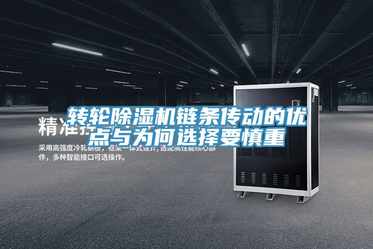 转轮猫咪成人官网链条传动的优点与为何选择要慎重