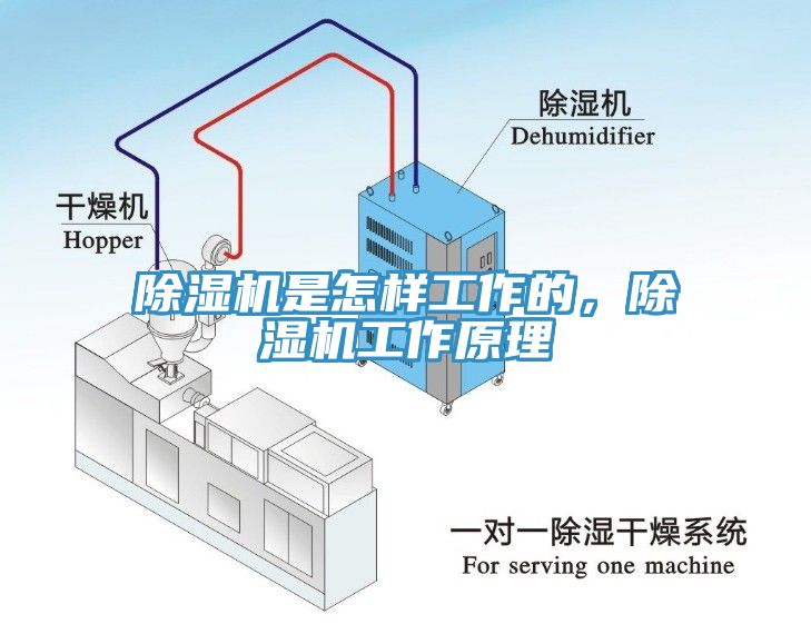 猫咪成人官网是怎样工作的，猫咪成人官网工作原理