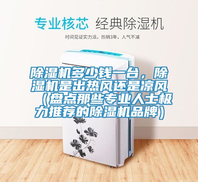 猫咪成人官网多少钱一台，猫咪成人官网是出热风还是凉风（盘点那些专业人士极力推荐的猫咪成人官网品牌）