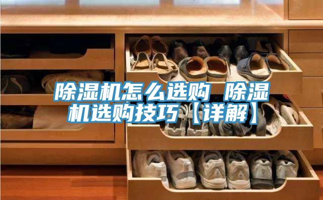 猫咪成人官网怎么选购 猫咪成人官网选购技巧【详解】