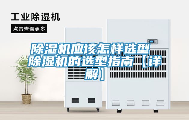 猫咪成人官网应该怎样选型 猫咪成人官网的选型指南【详解】