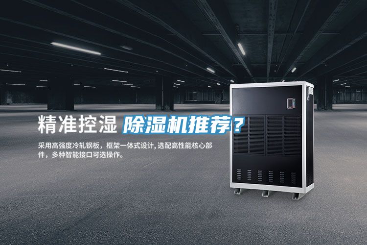 猫咪成人官网推荐？