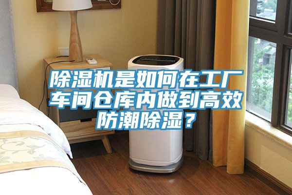 猫咪成人官网是如何在工厂车间仓库内做到高效防潮除湿？