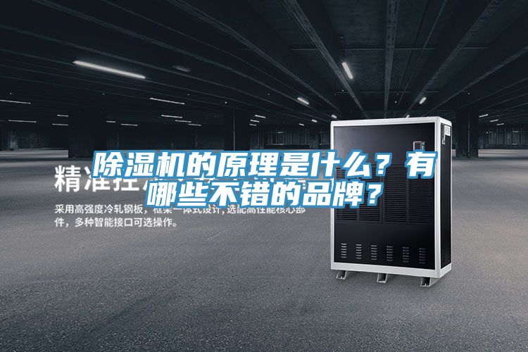 猫咪成人官网的原理是什么？有哪些不错的品牌？
