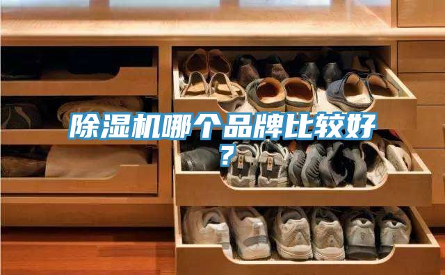 猫咪成人官网哪个品牌比较好？