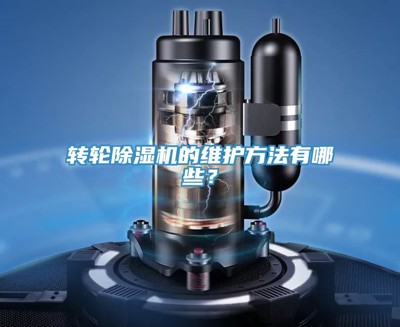 转轮猫咪成人官网的维护方法有哪些？
