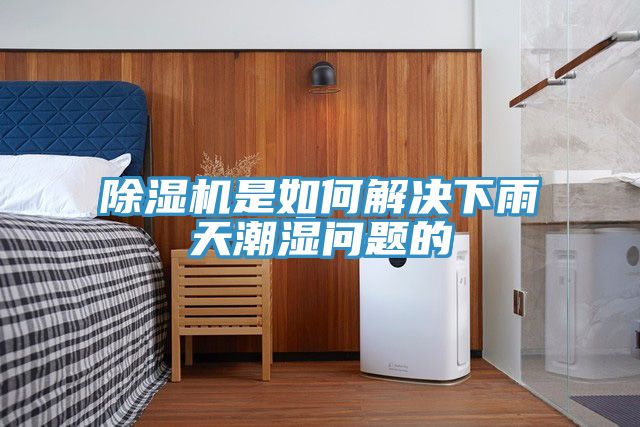 猫咪成人官网是如何解决下雨天潮湿问题的