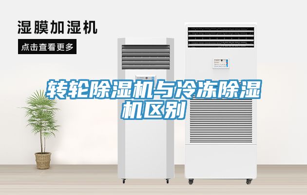 转轮猫咪成人官网与冷冻猫咪成人官网区别