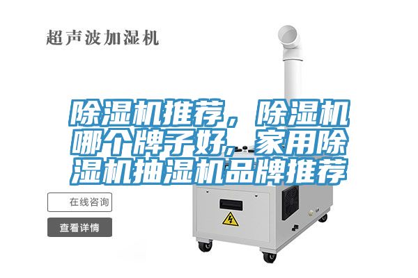猫咪成人官网推荐，猫咪成人官网哪个牌子好, 家用猫咪成人官网抽湿机品牌推荐