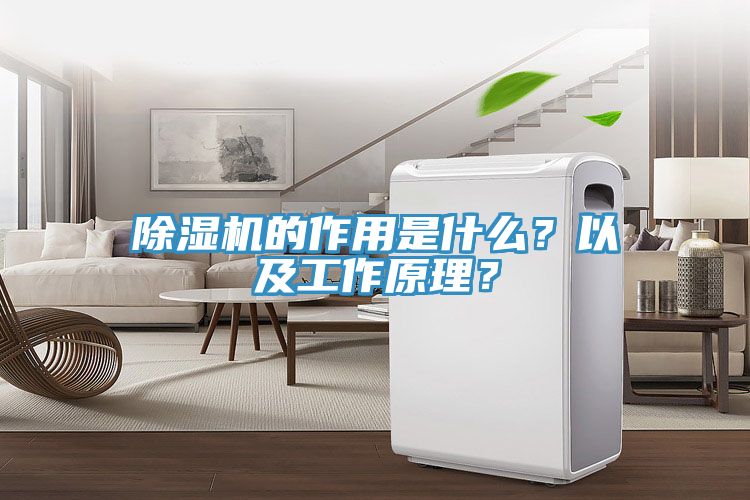 猫咪成人官网的作用是什么？以及工作原理？