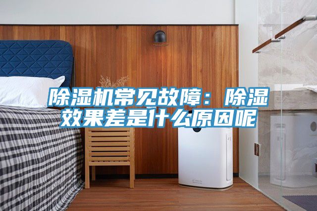 猫咪成人官网常见故障：除湿效果差是什么原因呢