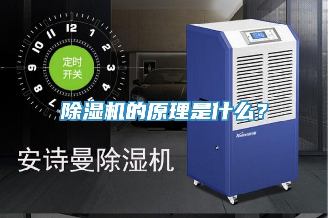 猫咪成人官网的原理是什么？