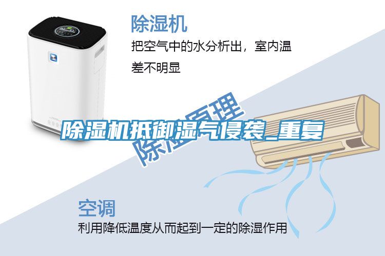 猫咪成人官网抵御湿气侵袭_重复