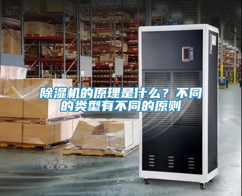 猫咪成人官网的原理是什么？不同的类型有不同的原则