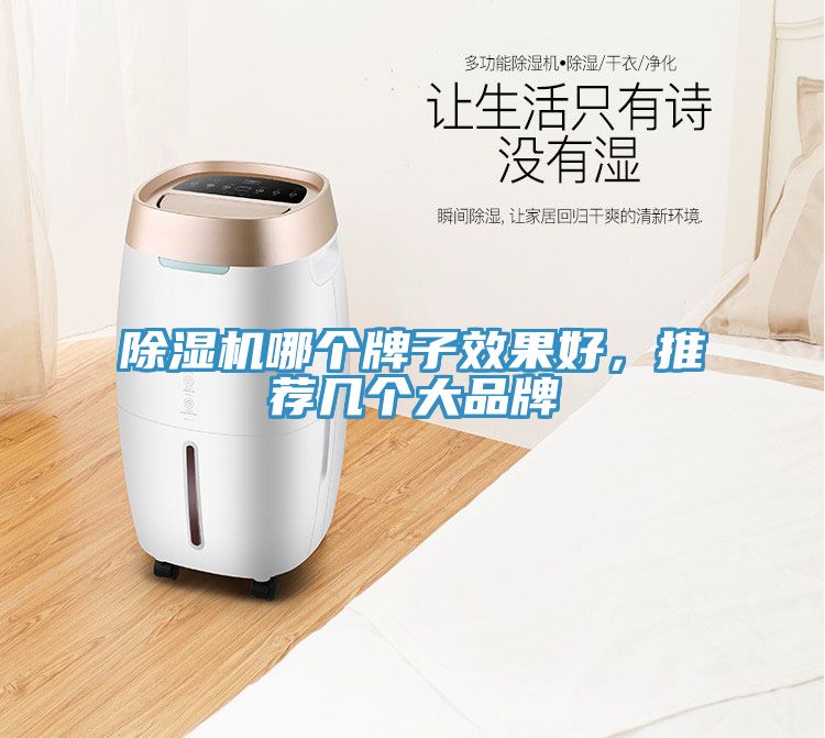 猫咪成人官网哪个牌子效果好，推荐几个大品牌
