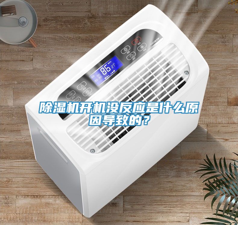 猫咪成人官网开机没反应是什么原因导致的？