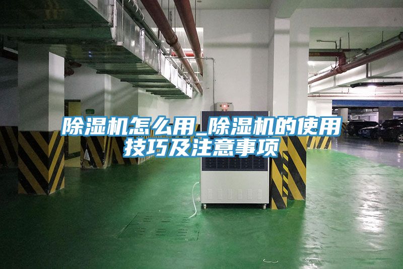猫咪成人官网怎么用_猫咪成人官网的使用技巧及注意事项