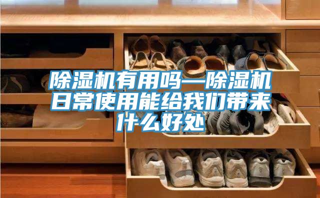 猫咪成人官网有用吗—猫咪成人官网日常使用能给猫咪成人在线视频带来什么好处