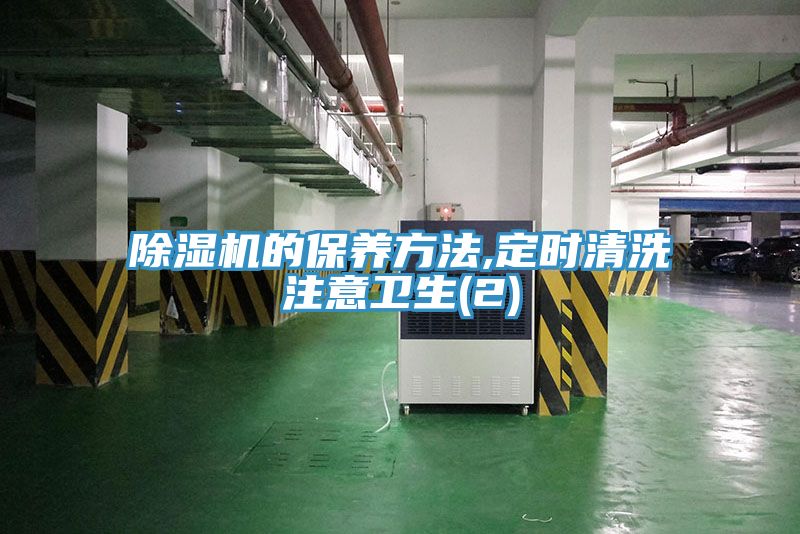 猫咪成人官网的保养方法,定时清洗注意卫生(2)