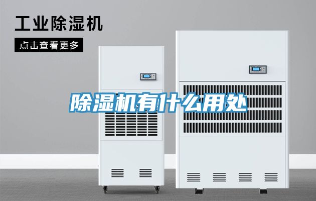 猫咪成人官网有什么用处