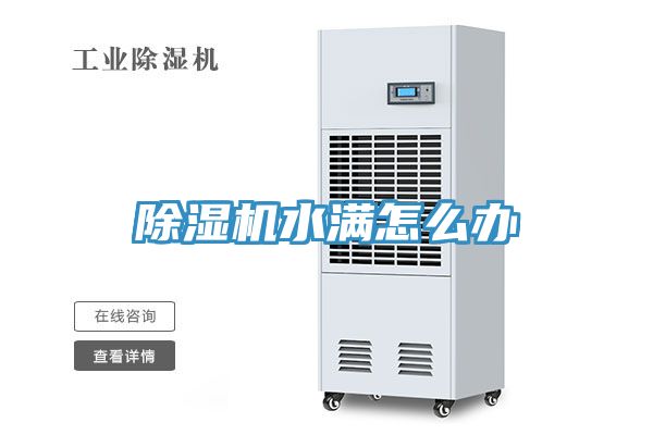 猫咪成人官网水满怎么办