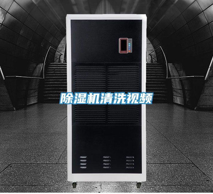 猫咪成人官网清洗视频