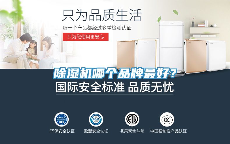 猫咪成人官网哪个品牌最好？