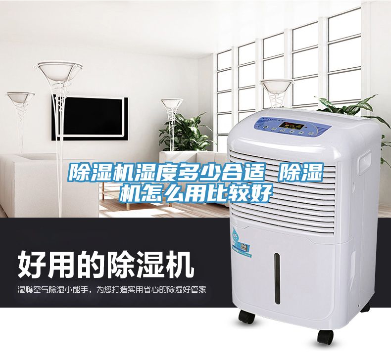 猫咪成人官网湿度多少合适 猫咪成人官网怎么用比较好