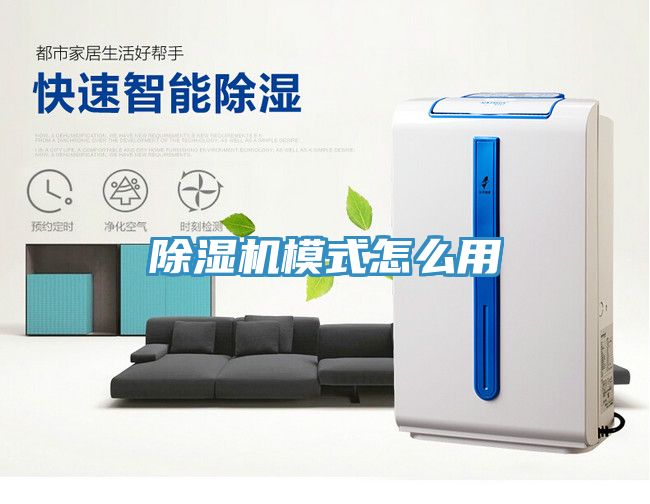 猫咪成人官网模式怎么用