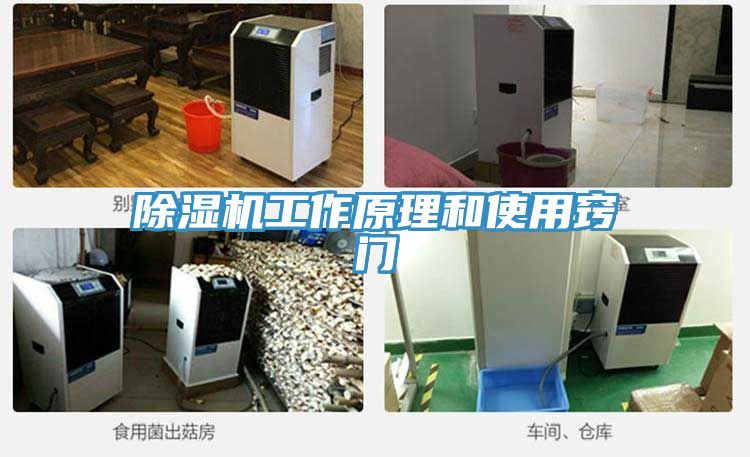 猫咪成人官网工作原理和使用窍门