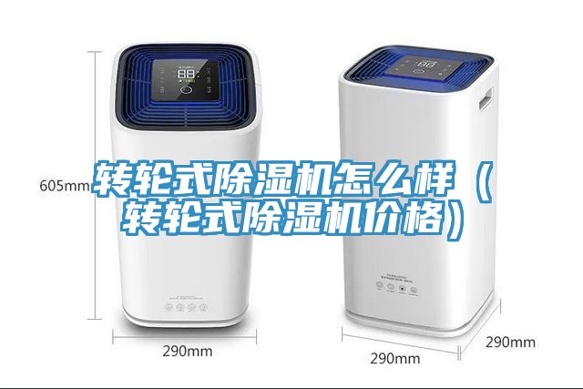 转轮式猫咪成人官网怎么样（转轮式猫咪成人官网价格）