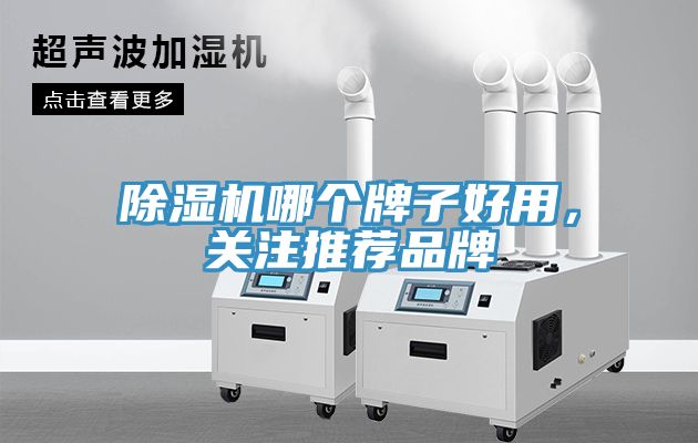 猫咪成人官网哪个牌子好用，关注推荐品牌