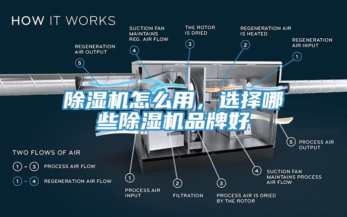 猫咪成人官网怎么用，选择哪些猫咪成人官网品牌好