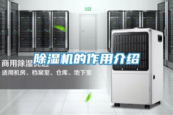 猫咪成人官网的作用介绍
