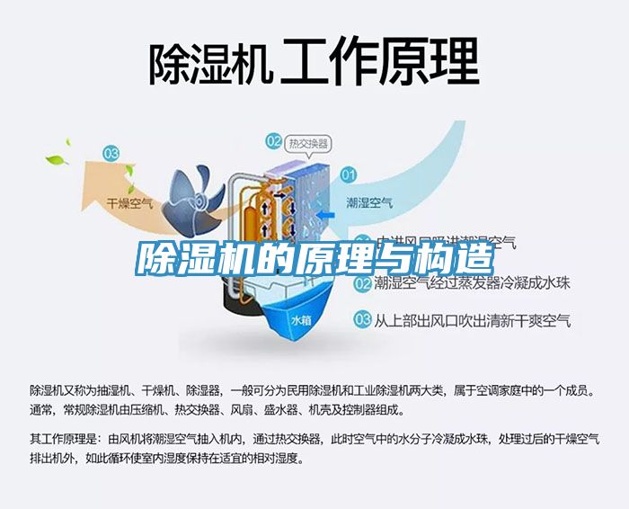 猫咪成人官网的原理与构造