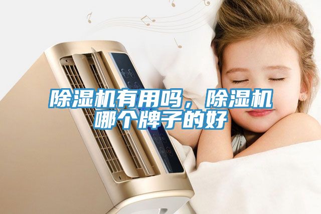 猫咪成人官网有用吗，猫咪成人官网哪个牌子的好