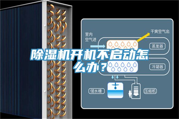 猫咪成人官网开机不启动怎么办？