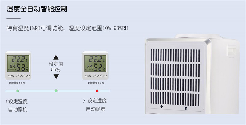 商用猫咪成人官网5