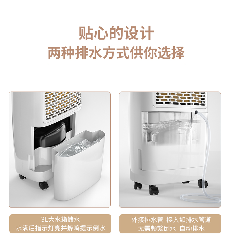 家用猫咪成人官网13