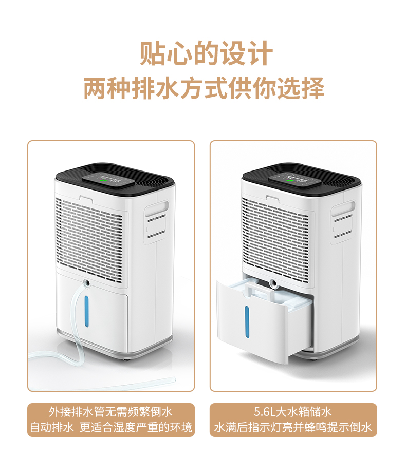 家用猫咪成人官网010